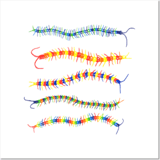 Colorwheel Centipede Posters and Art